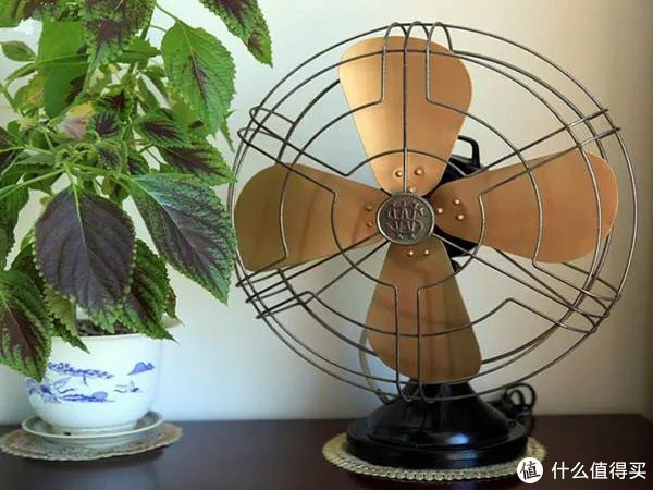 新房装修后用什么除味好?教你五种方法去除装修异味