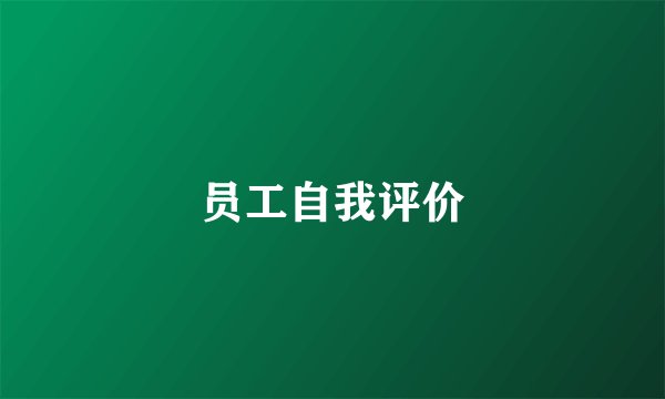 员工自我评价