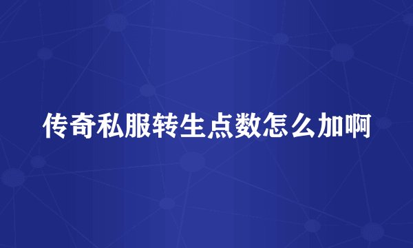 传奇私服转生点数怎么加啊