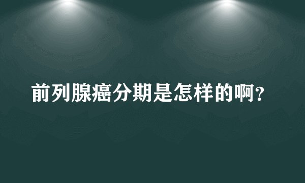 前列腺癌分期是怎样的啊？
