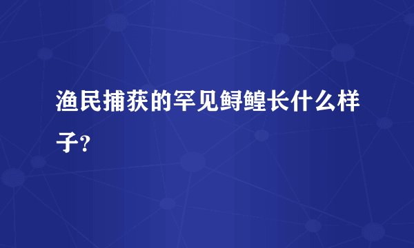 渔民捕获的罕见鲟鳇长什么样子?