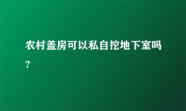 农村盖房可以私自挖地下室吗？