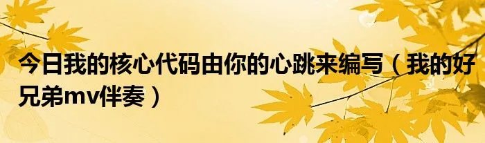 今日我的核心代码由你的心跳来编写（我的好兄弟mv伴奏）