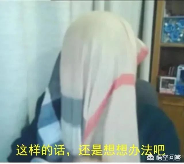 当红的网络主播,你最喜欢哪一个?