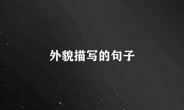 外貌描写的句子