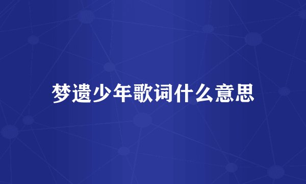 梦遗少年歌词什么意思