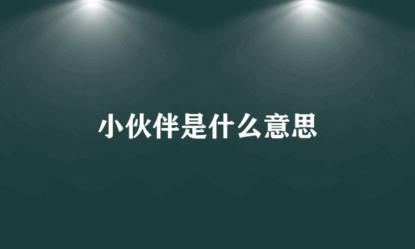 小伙伴是什么意思