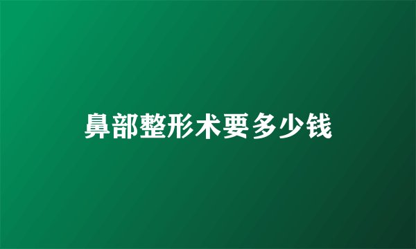 鼻部整形术要多少钱