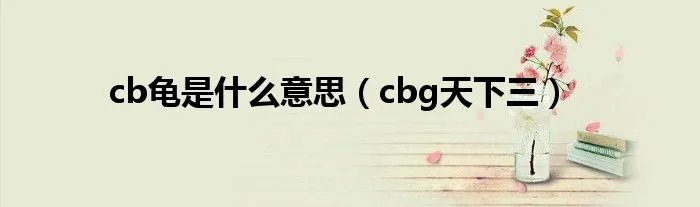 cb龟是什么意思（cbg天下三）