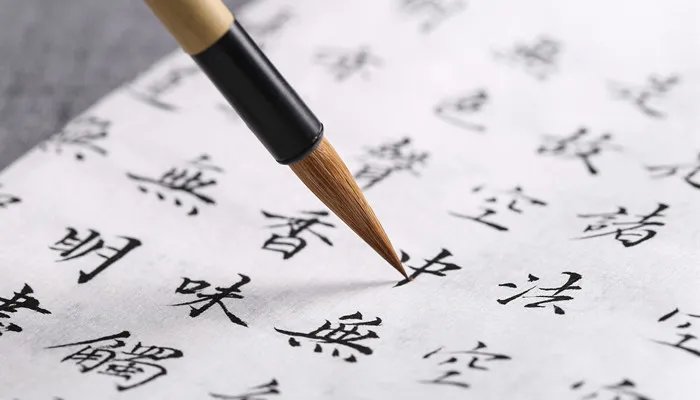 爱屋及乌什么意思 爱屋及乌是什么意思
