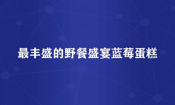最丰盛的野餐盛宴蓝莓蛋糕