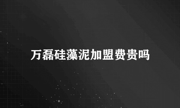 万磊硅藻泥加盟费贵吗