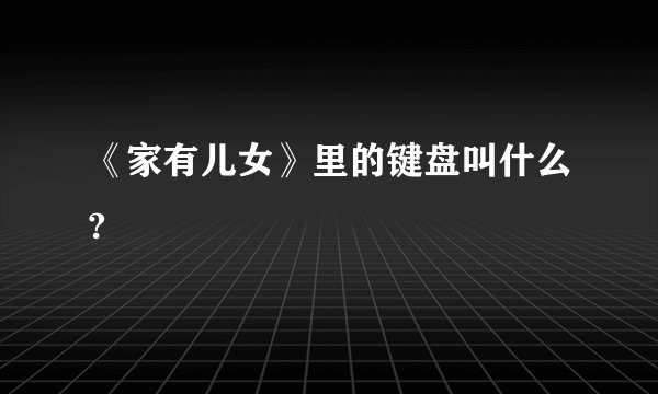 《家有儿女》里的键盘叫什么?