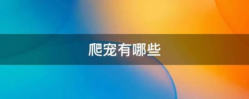 爬宠有哪些