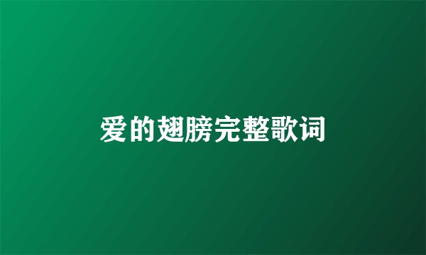 爱的翅膀完整歌词