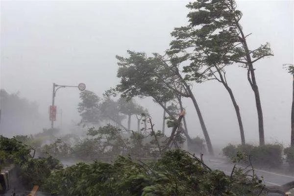台风白鹿将两次登陆中国,台风的登陆次数跟什么因素有关?