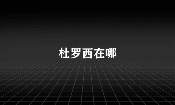 杜罗西在哪