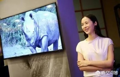如何看待江一燕事件?