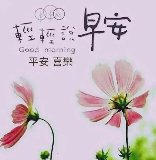 重阳节早上好图片