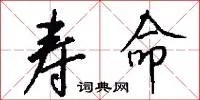 寿命