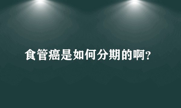 食管癌是如何分期的啊？
