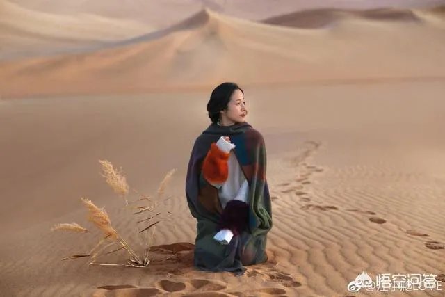 如何看待江一燕事件?