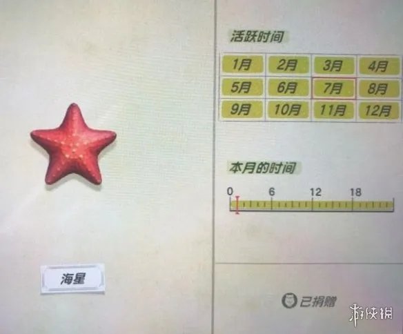 《集合啦动物森友会》海洋生物有哪些?海洋生物价格图鉴