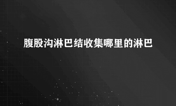 腹股沟淋巴结收集哪里的淋巴