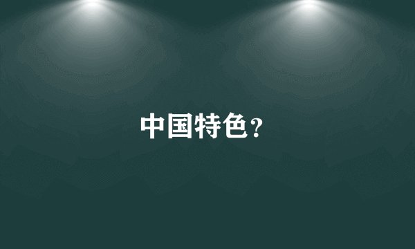 中国特色？