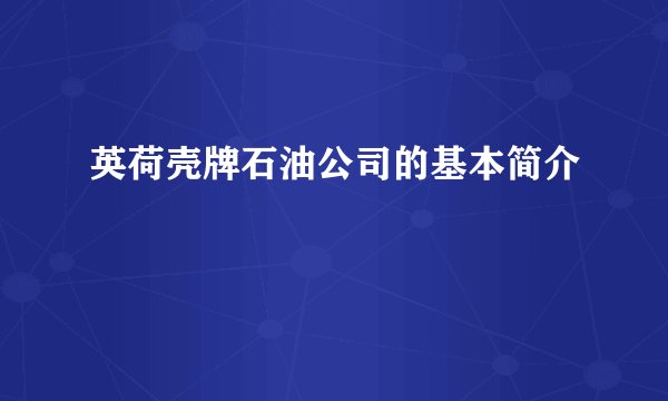 英荷壳牌石油公司的基本简介