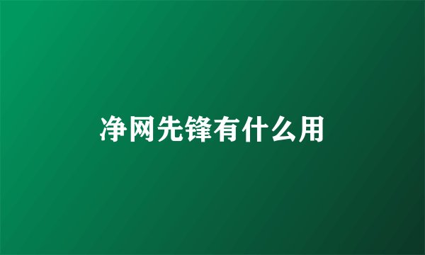 净网先锋有什么用