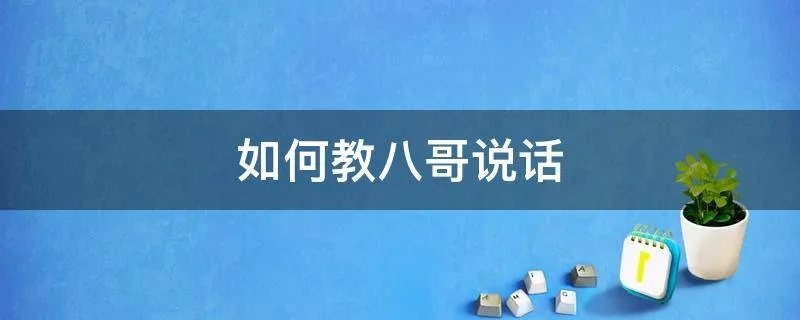 如何教八哥说话
