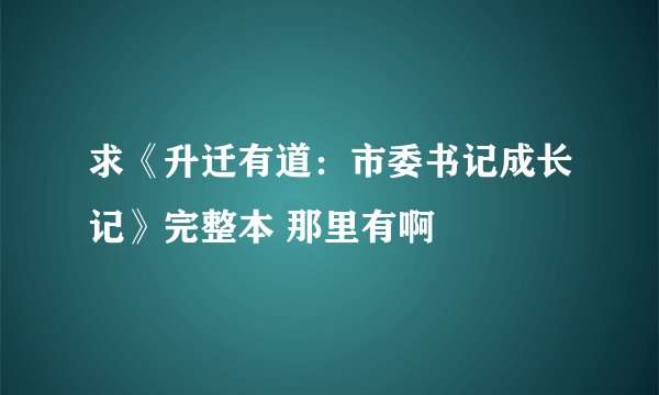求《升迁有道：市委书记成长记》完整本 那里有啊