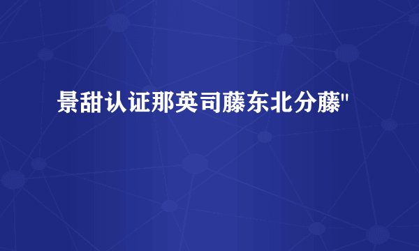 景甜认证那英司藤东北分藤