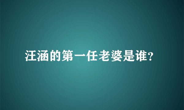 汪涵的第一任老婆是谁?