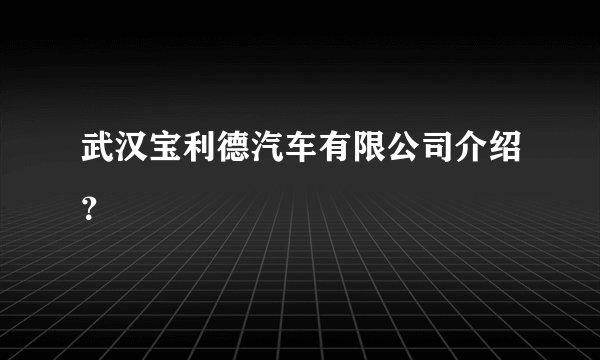 武汉宝利德汽车有限公司介绍？