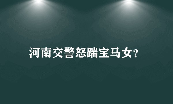 河南交警怒踹宝马女？