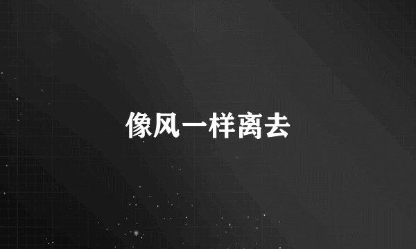 像风一样离去