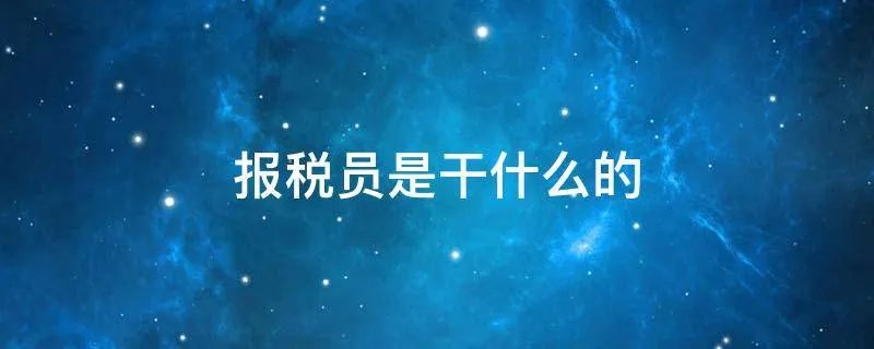 报税员是干什么的