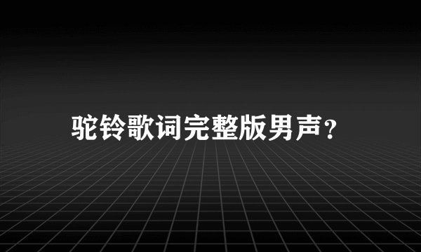 驼铃歌词完整版男声？