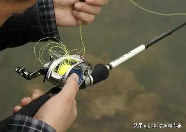 谁可以分享一下路亚钓鱼技巧?