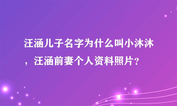 汪涵儿子名字为什么叫小沐沐，汪涵前妻个人资料照片？