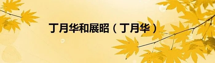 丁月华和展昭（丁月华）