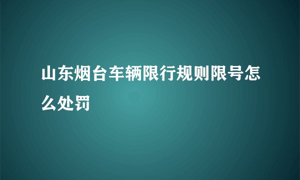 山东烟台车辆限行规则限号怎么处罚