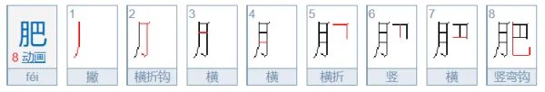 肥的笔顺怎么写