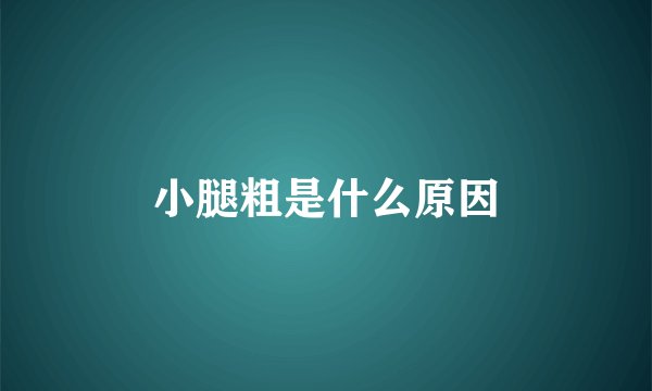 小腿粗是什么原因