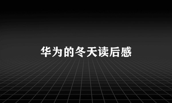 华为的冬天读后感