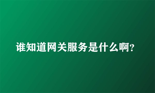 谁知道网关服务是什么啊？