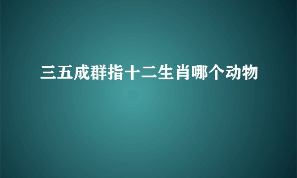 三五成群指十二生肖哪个动物