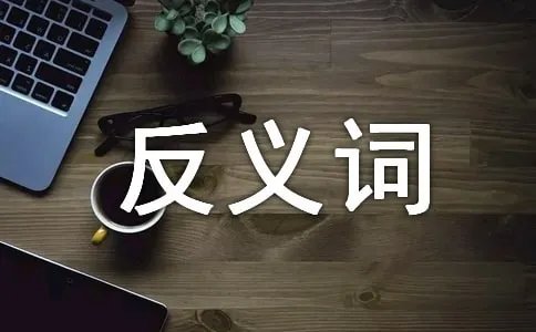 艳丽的反义词是什么